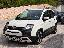 FIAT Panda 1.0 FireFly S&S Hybrid Pandina