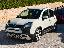 FIAT Panda 1.0 FireFly S&S Hybrid Pandina