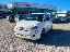 FIAT 500 Berlina Hybrid Icon