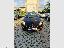 FIAT Punto 1.2 8V 5p. LOUNGE