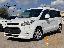 FORD Tourneo Connect7 1.6 TDCi 115 CV Tit.
