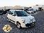 FIAT 500L 1.3 MJT 85 CV Lounge
