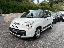 FIAT 500L 1.3 MJT 85 CV Pop Star