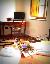 Appartamento 80 mq, 2 camere