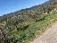 Terreno 8500 mq