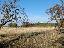 Terreno 4600 mq