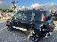 FIAT Pandina 1.0 FireFly 65 CV Hybrid Cross