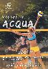 Noleggio gonfiabile volley in acqua - noleggio strutture per