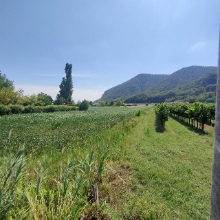 zoom immagine (Terreno 15448 mq, zona Monticelli)