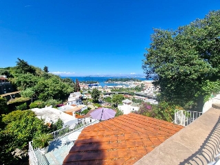 zoom immagine (Quadrifamiliare 2230 mq, 10 camere, zona Ischia Porto)