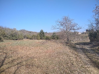 zoom immagine (Terreno agricolo in Istria)