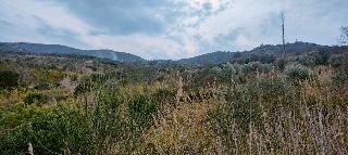 zoom immagine (60 terreno agricolo)